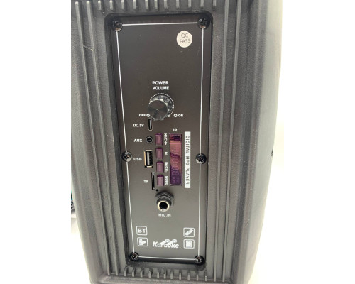 Портативная колонка Tekno altavoces 6.5" с микрофоном и светомузыкой (12)