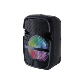 Портативная колонка Tekno altavoces 6.5" с микрофоном и светомузыкой (12)