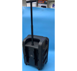 Портативная колонка Kimiso QS-1214 12inch с микрофоном и светомузыкой (4)