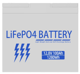 Литий-ионный аккумулятор LiFePO4 12V 100Ah аккумуляторная батарея (1)